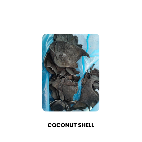 Coconut Shell